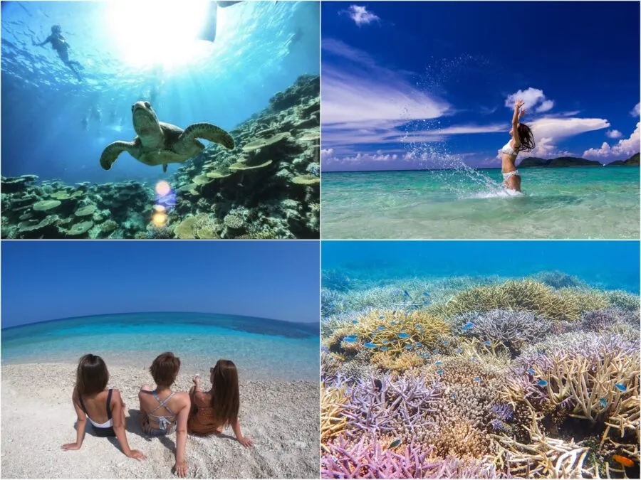 【ツアーズ限定割引】西表島⇆石垣島フェリーチケット付き★一度は訪れたい人気スポット『バラス島』シュノーケリング半日コース★写真無料（No.486）