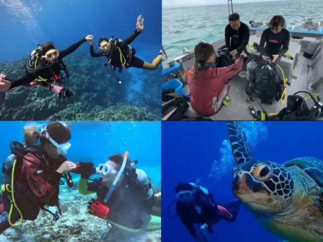 石垣の海でダイビング体験