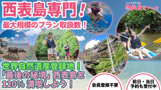 新_西表島トップKV_sp