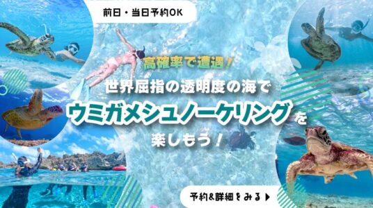 ウミガメシュノーケリングKV_sp