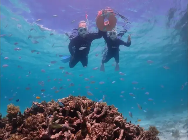石垣島シュノーケリングツアーで熱帯魚観察