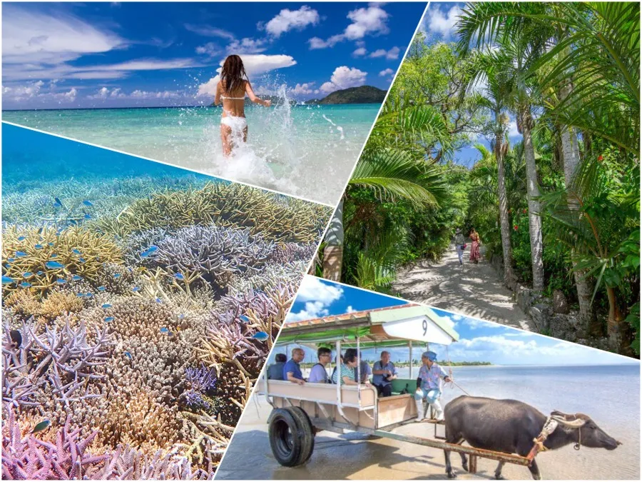 【ツアーズ限定割引】西表島⇆石垣島フェリーチケット付き★バラス島シュノーケリング＆『由布島』水牛車観光ツアー★写真無料（No.544）