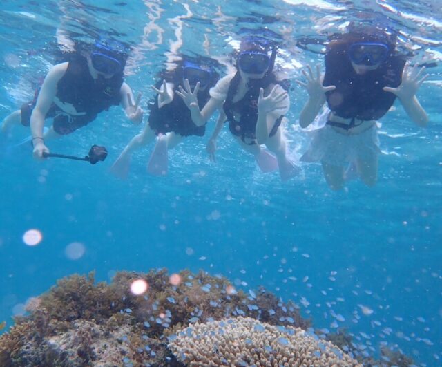 幻の島　シュノーケリング