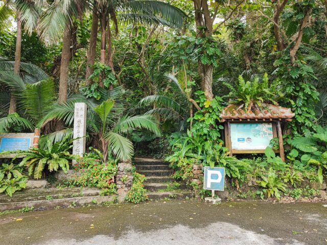 ヤエヤマヤシ群落の駐車場
