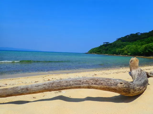 石垣島の手つかずの自然ビーチ風景