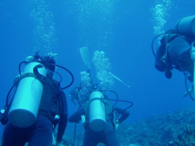 石垣島 ダイビング 三人のダイバー