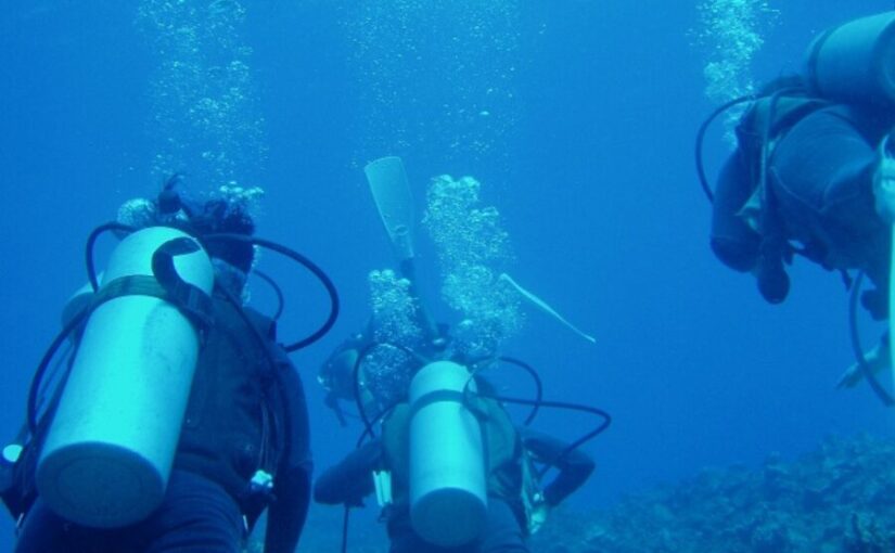 石垣島　ダイビング　三人のダイバー