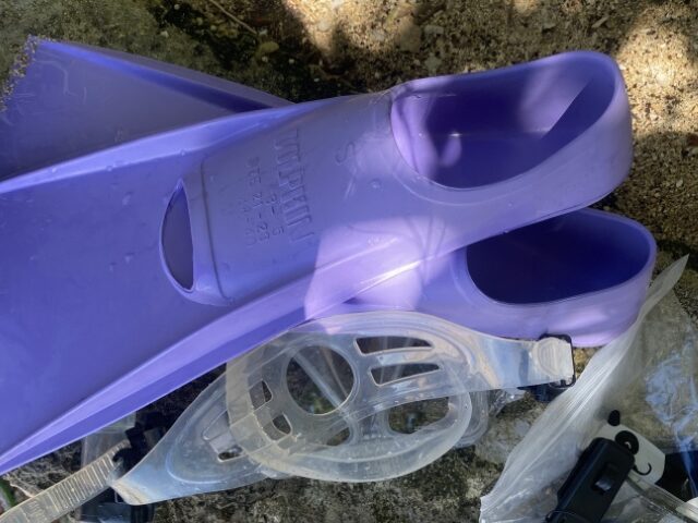 石垣島の穴場ビーチでシュノーケリングを楽しむためのレンタル機材。