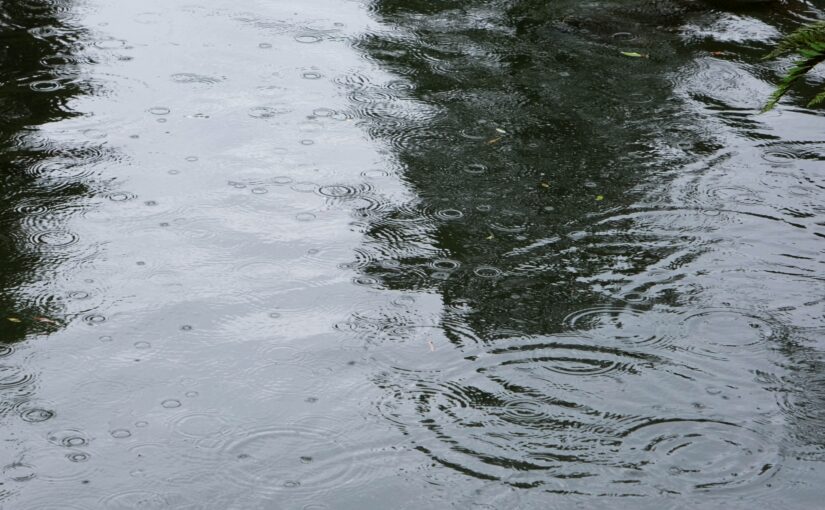 雨　水たまり